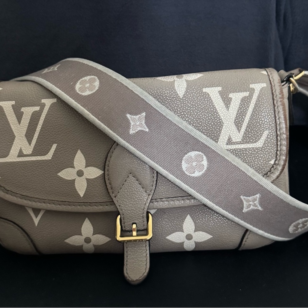 Louis Vuitton Diane Crossbody Bag - Picture 3 of 10